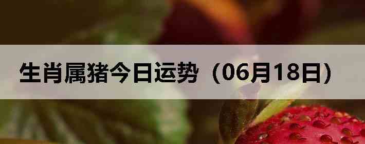 ��Ф�����������ƣ�06��18�գ�