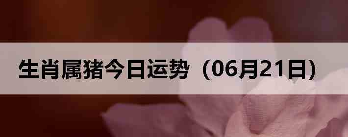 ��Ф�����������ƣ�06��21�գ�