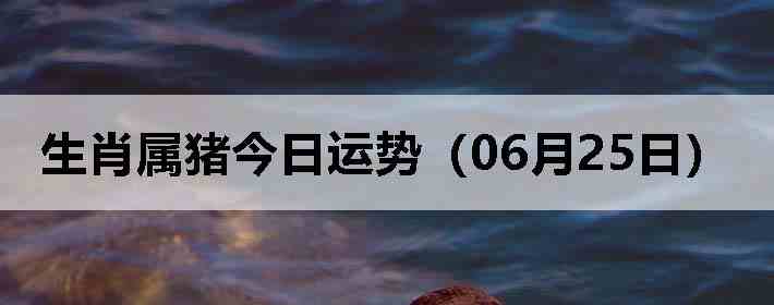 ��Ф�����������ƣ�06��25�գ�