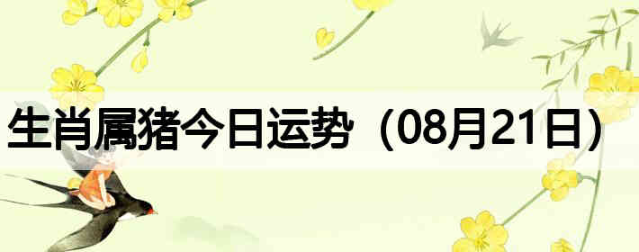 ��Ф�����������ƣ�08��21�գ�