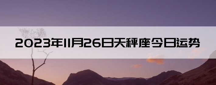 20231126