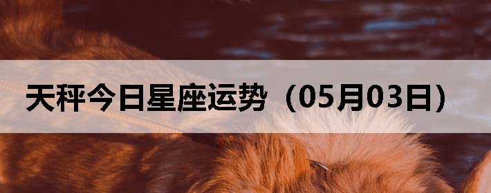 ӽƣ0503գ