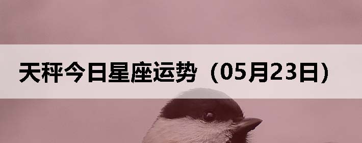 ӽƣ0523գ