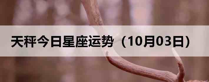 ��ӽ����������ƣ�10��03�գ�