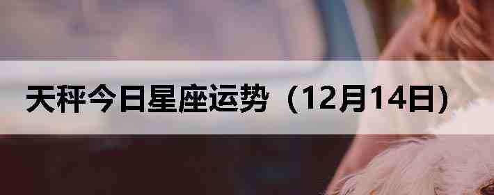 ��ӽ����������ƣ�12��14�գ�