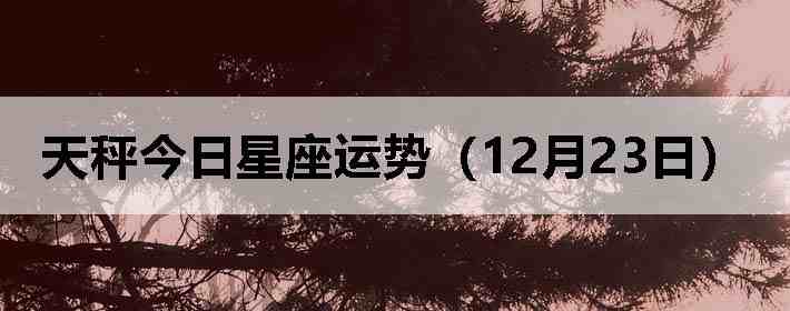 ��ӽ����������ƣ�12��23�գ�