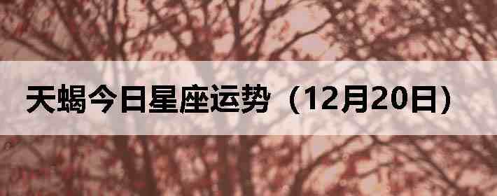 ��Ы�����������ƣ�12��20�գ�