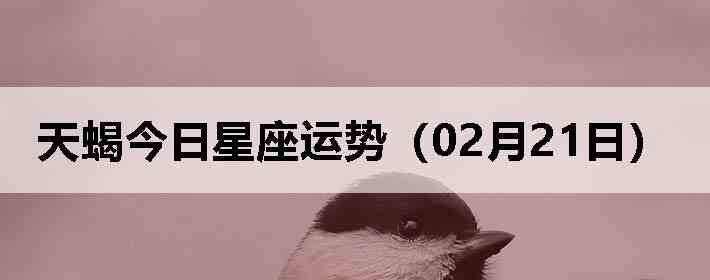 ��Ы�����������ƣ�02��21�գ�